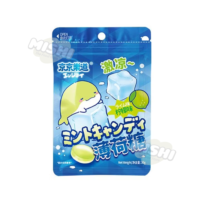 Ennjoi Brand Mint Candy Lemon Flavor 30g