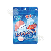 Ennjoi Brand Mint Candy Strawberry Flavor 30g