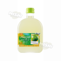 JOYING 100% Mixed Juice (Tangerine Peel & Phyllanthus) 265g