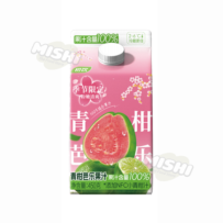 JOYING 100% green guava juice 450g