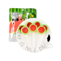 SAKURAGI RYOUHNN Brand Handmade Lollipops (Watermelon Flavor) 62g