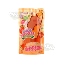 CAPYBARA Brand DHA Fruit Juice Popsicles (Beverage) 640mL