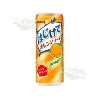 SANGARIA Orange Flavored Soda